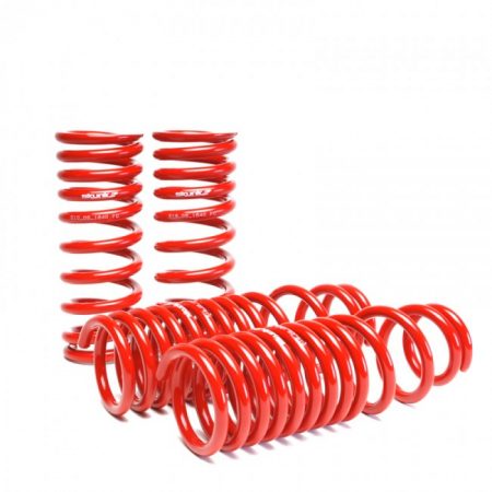 Lowering Springs