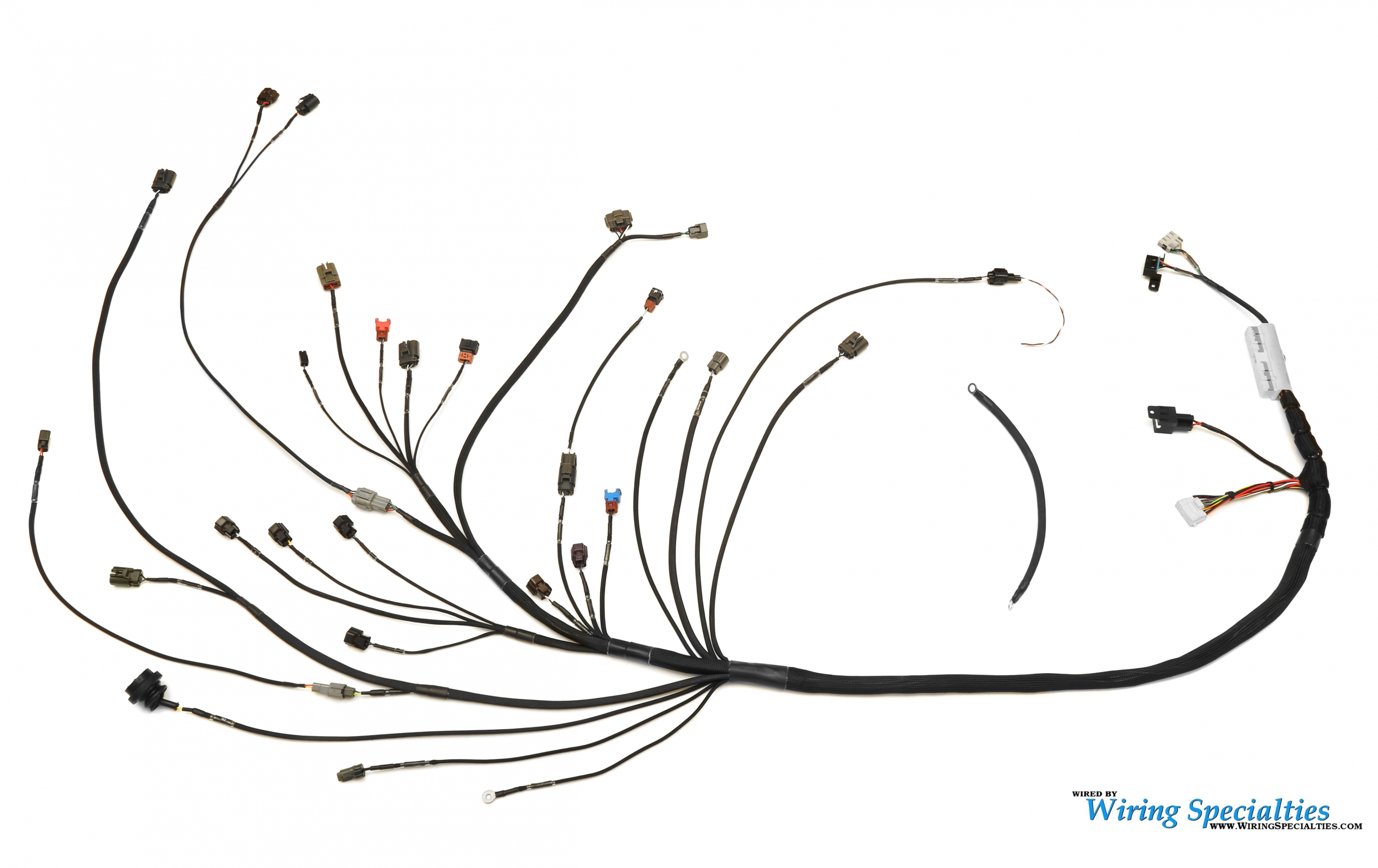 Wiring Specialties Universal / Standalone S14 KA24DE Engine Wiring