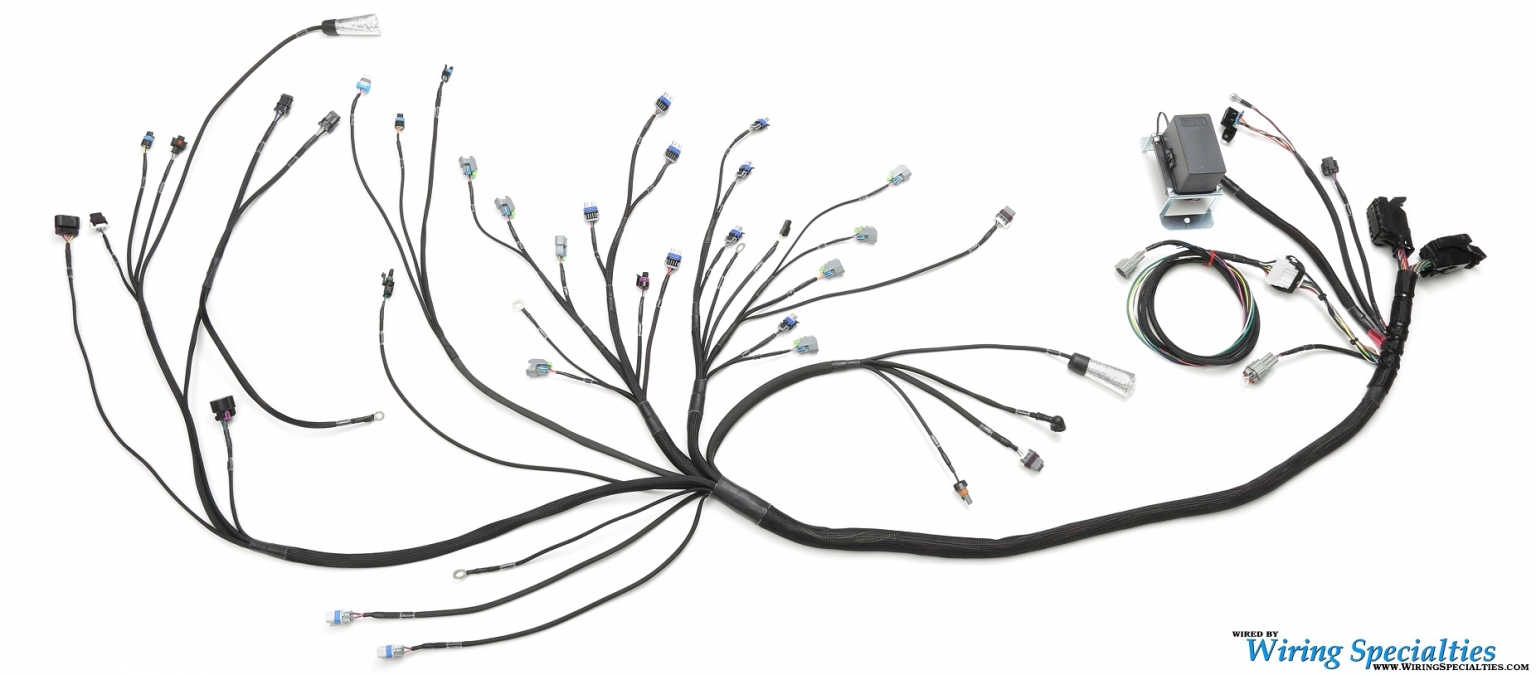 Wiring Specialties LS3 Gen IV 58x DBW Wiring Harness for BMW E46